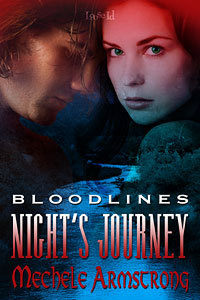 Night's Journey book cover