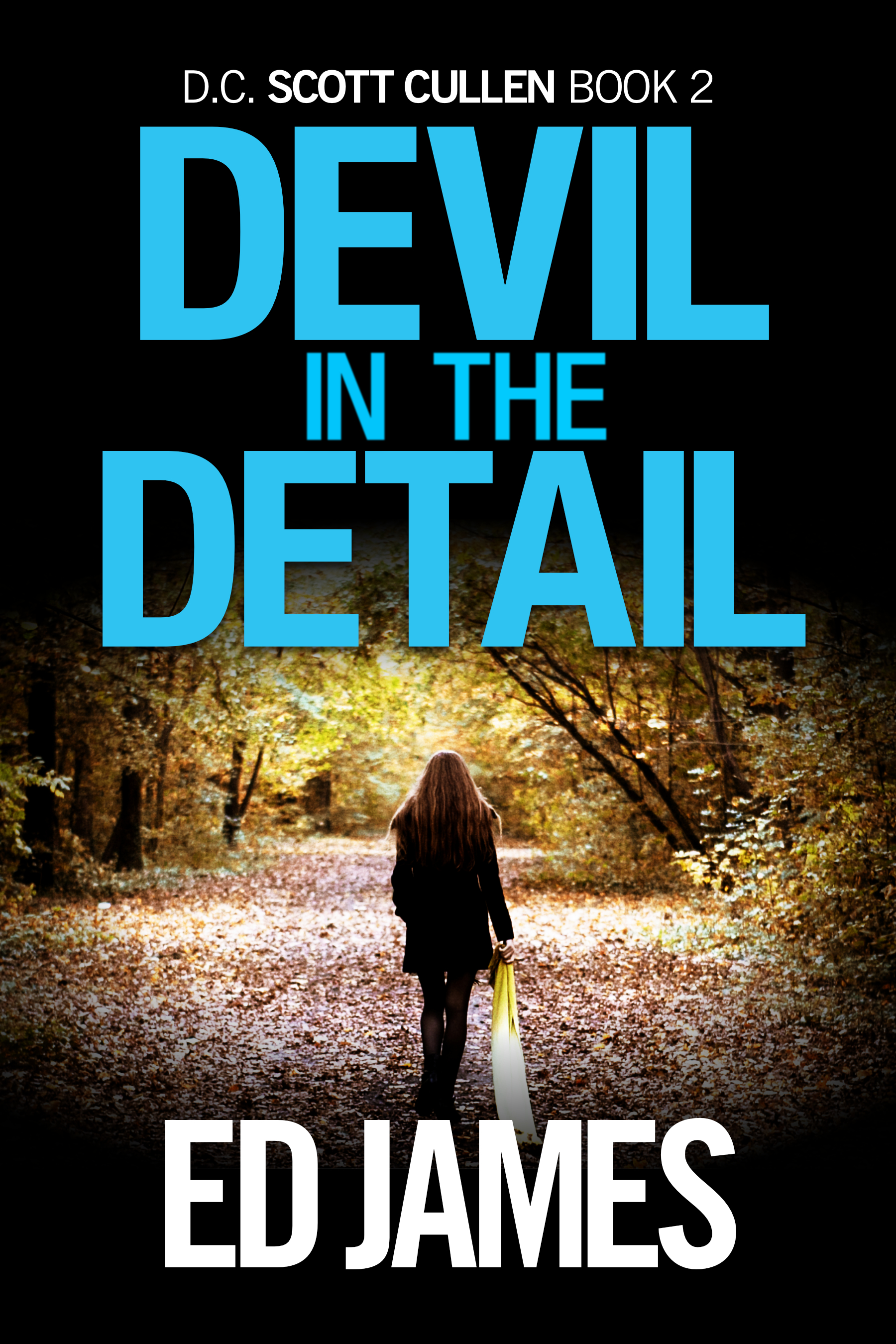 Scott Cullen Mysteries book cover 2