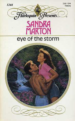 Eye Of The Storm book cover