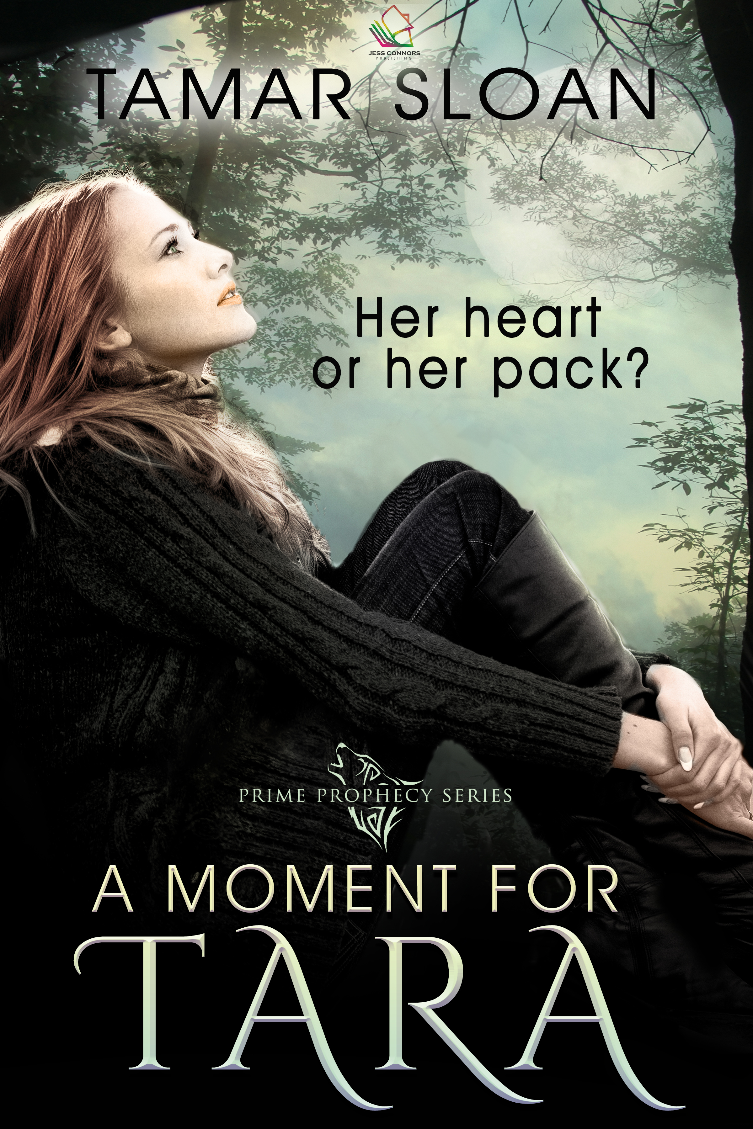 A Moment for Tara book cover