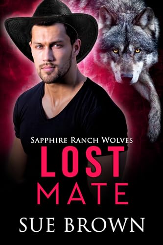 Lost Mate book cover