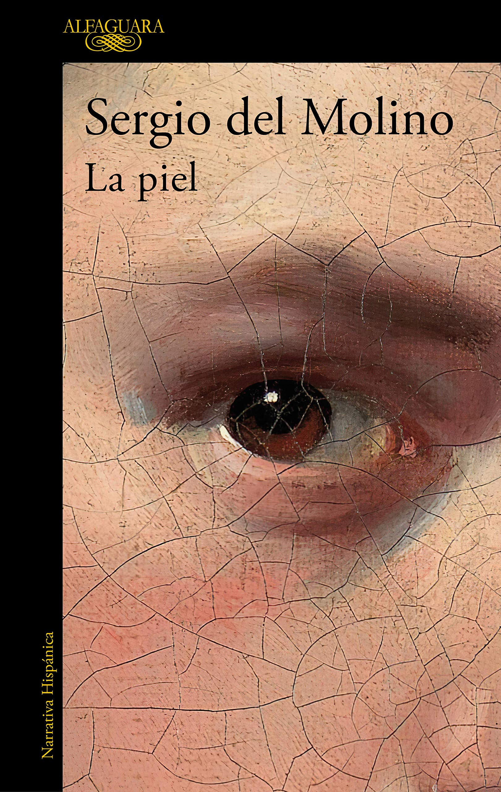 Skin book cover