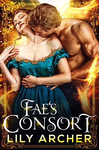 The Consort Duet book cover 1