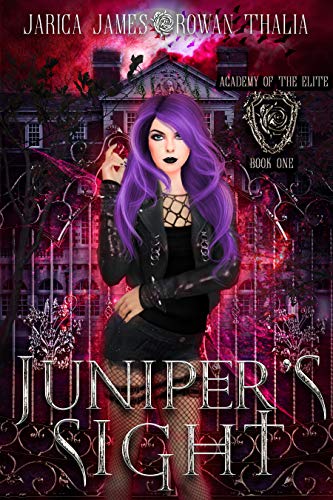 Academy of the Elite book cover 1