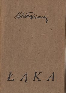 Łąka book cover