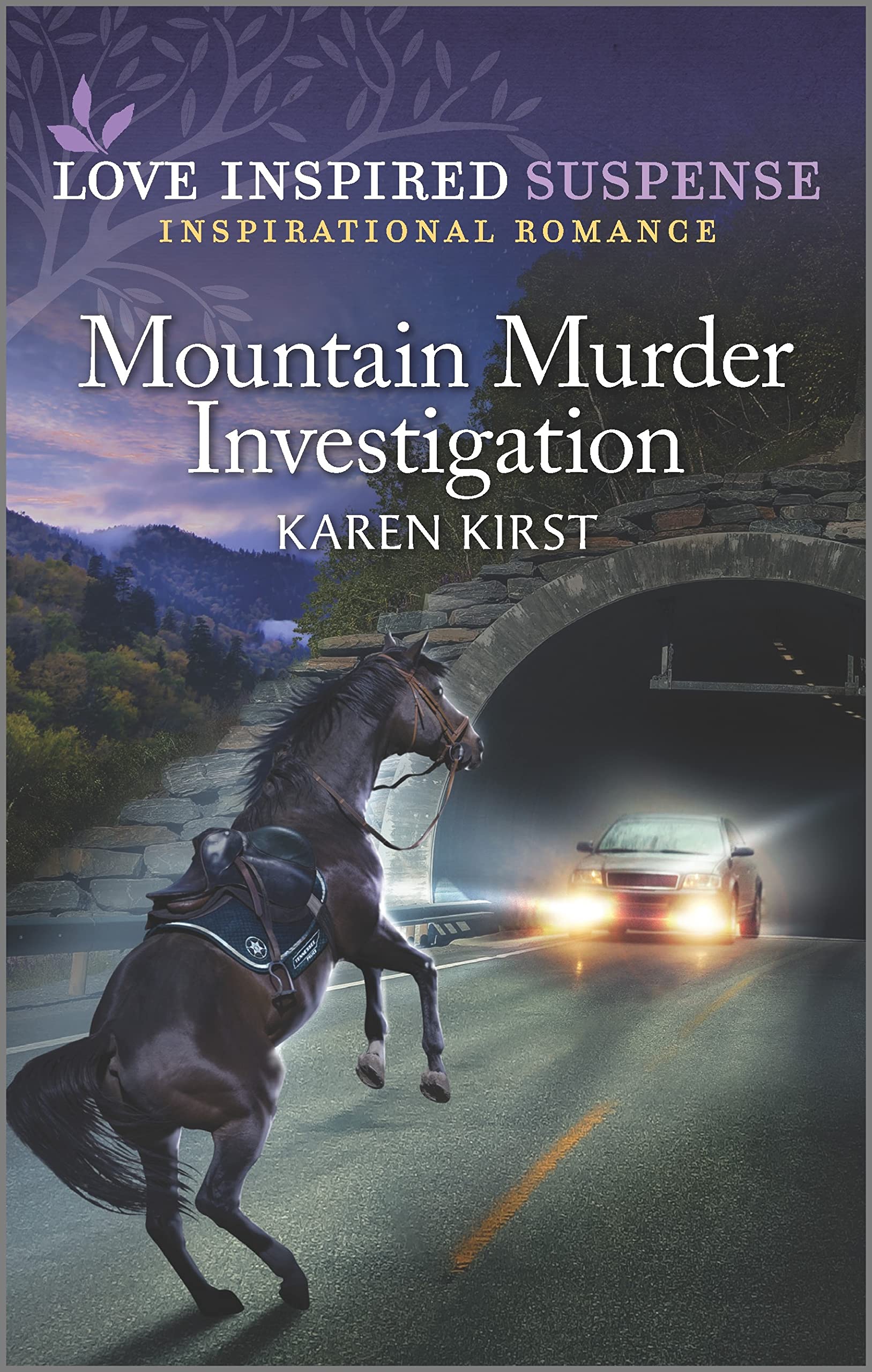 Smoky Mountain Defenders book cover 3