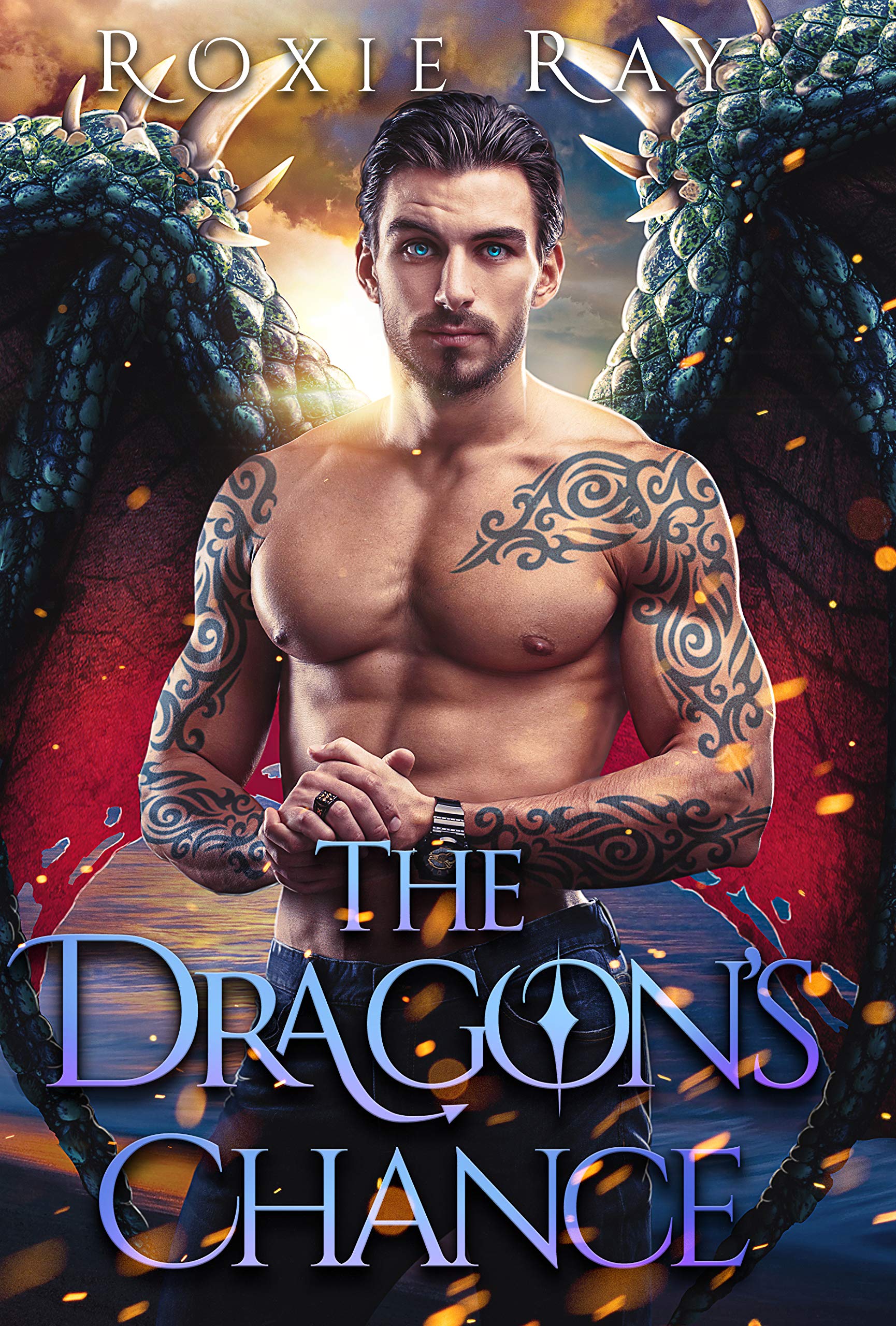 The Dragon's Chance book cover