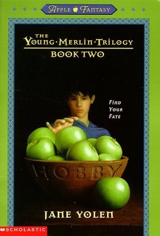 The Young Merlin Trilogy book cover 2