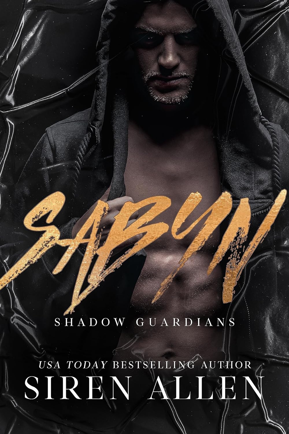 Shadow Guardians book cover 2