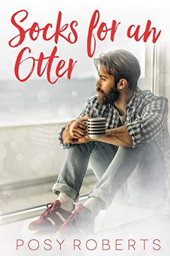Socks for an Otter book cover