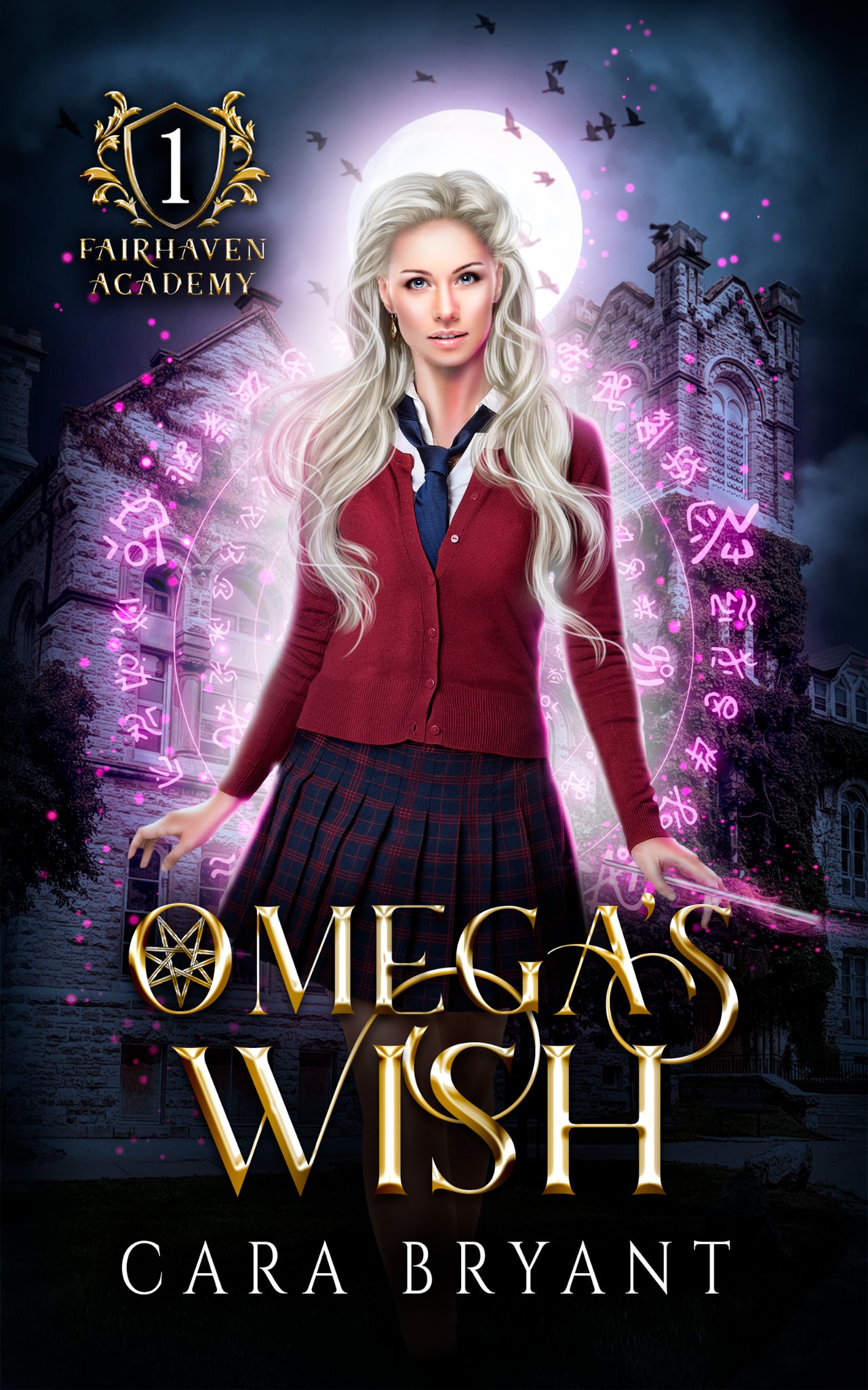 Fairhaven Academy book cover 1