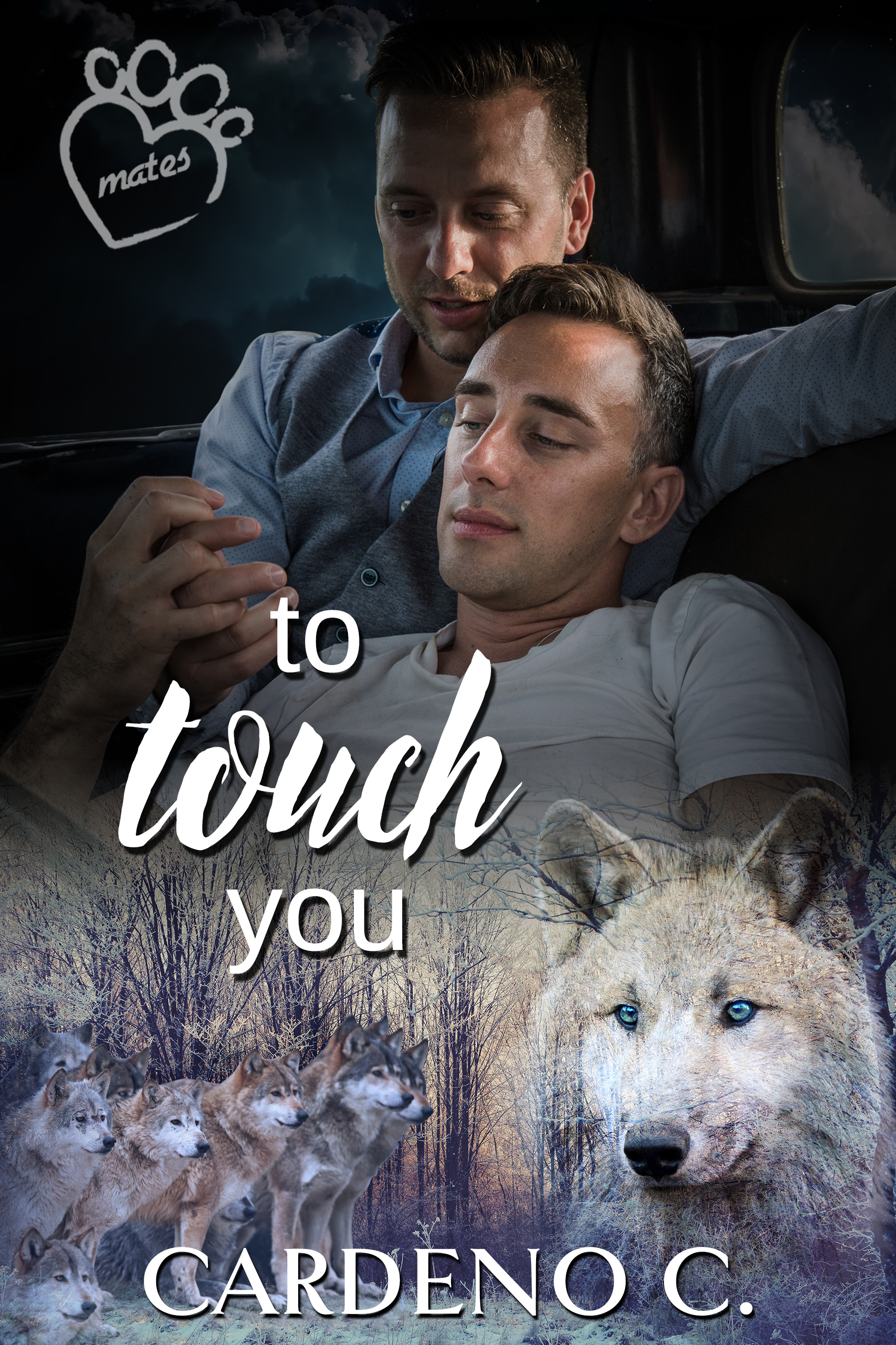 To Touch You book cover