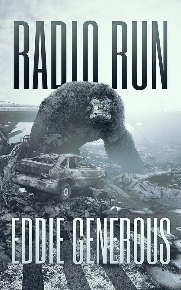 Radio Run book cover