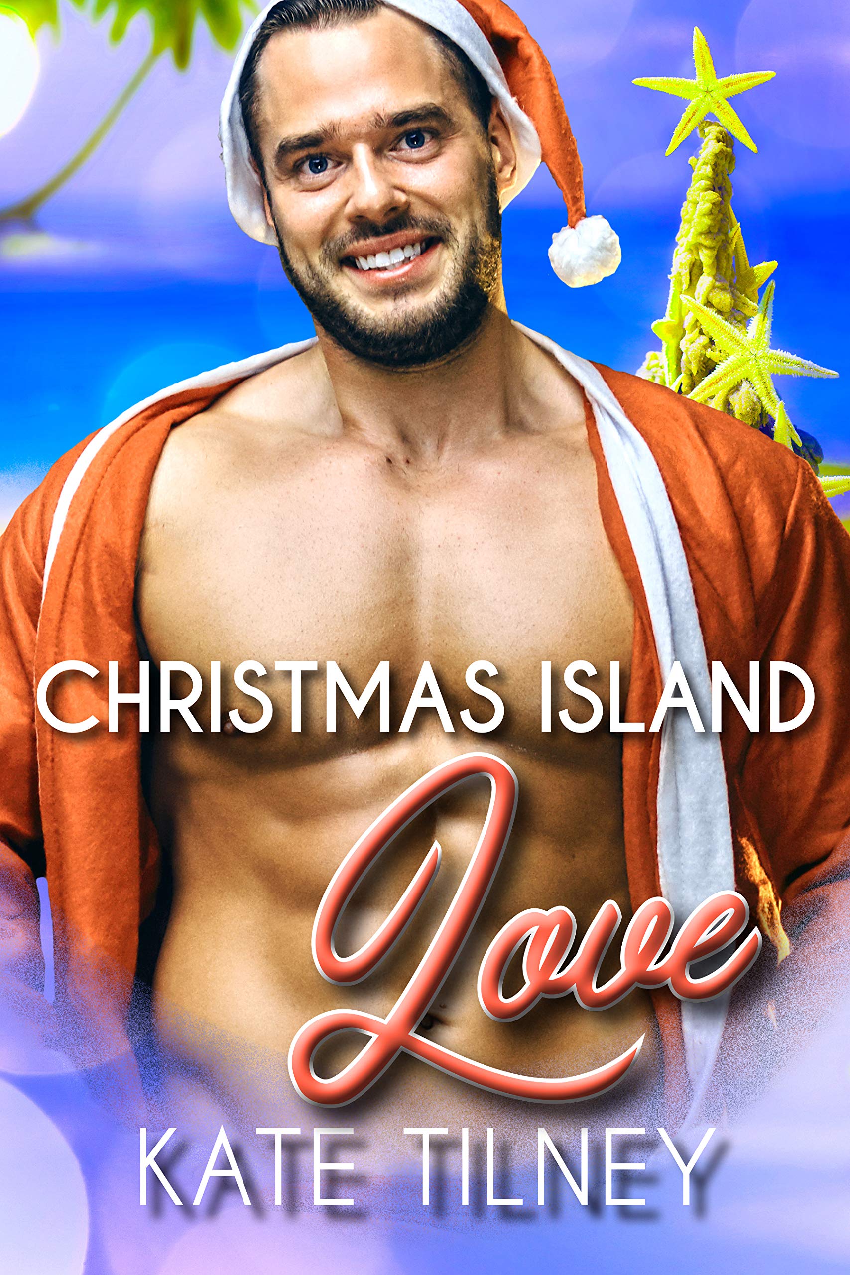 Christmas Island Love book cover