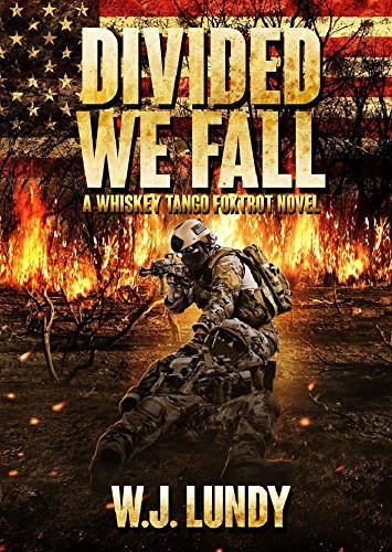 Divided We Fall book cover