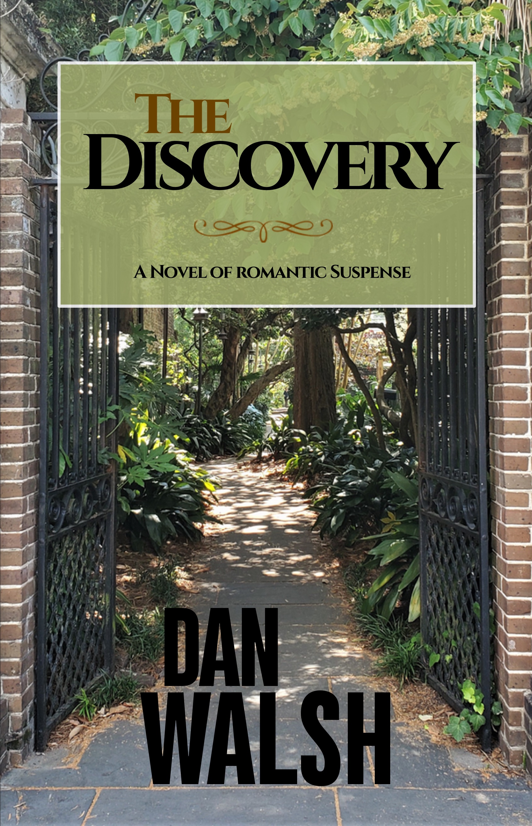 The Discovery book cover