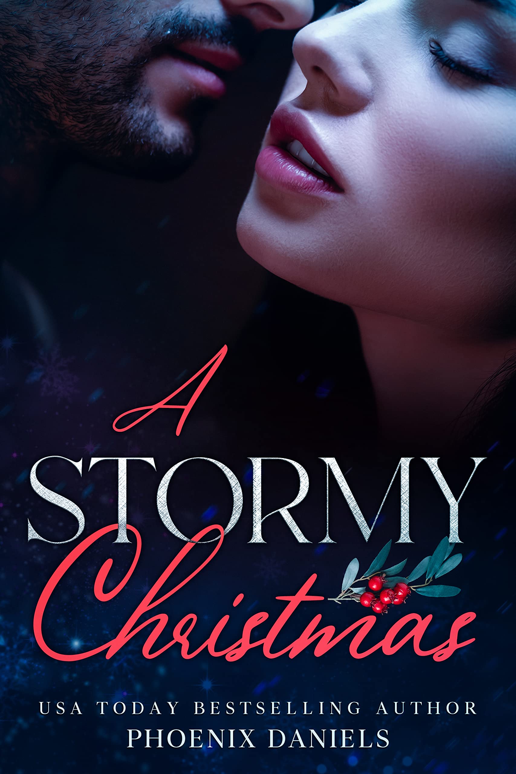 A Stormy Christmas book cover