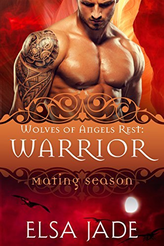 Warrior book cover