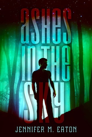 Fire in the Woods book cover 2