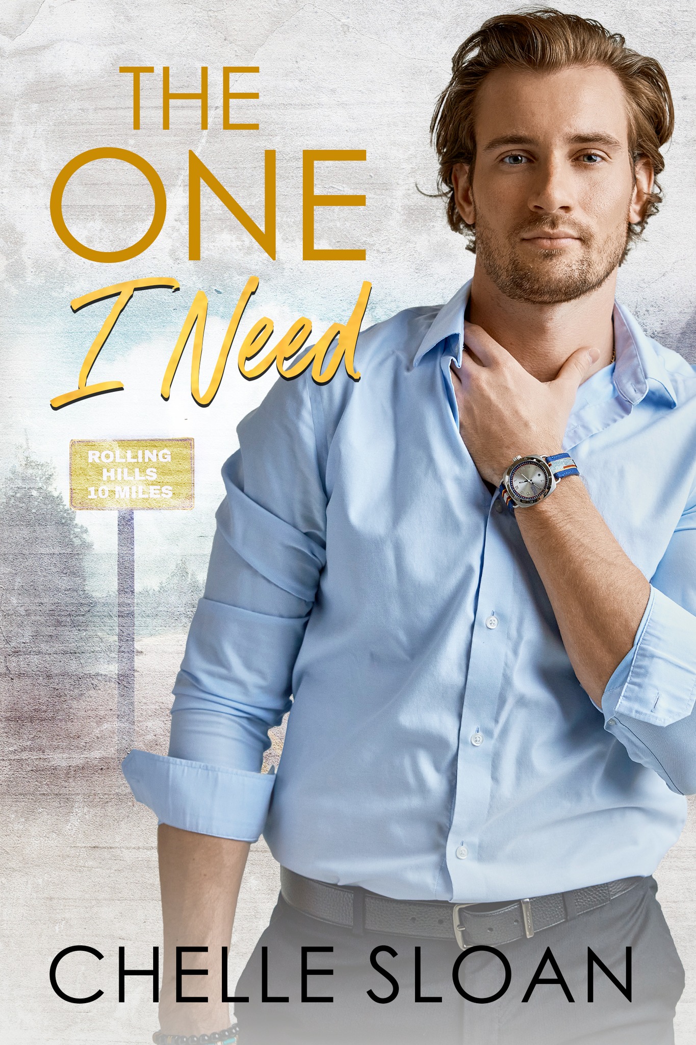 The One I Need book cover