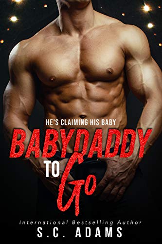 Babydaddy To Go book cover
