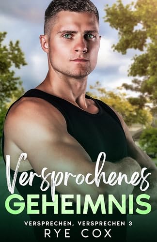 Versprochenes Geheimnis book cover