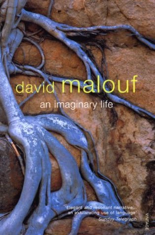 An Imaginary Life book cover