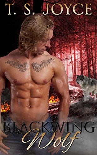 Kane's Mountains book cover 2
