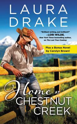 Home at Chestnut Creek book cover
