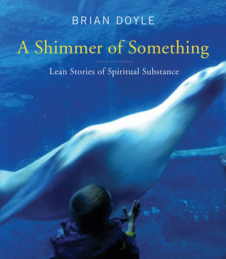 A Shimmer of Something book cover