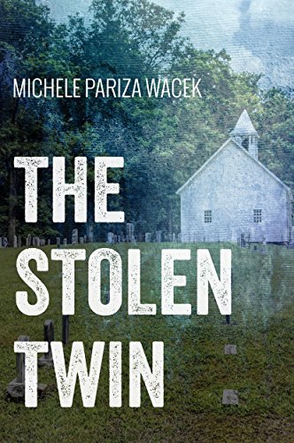 The Stolen Twin book cover