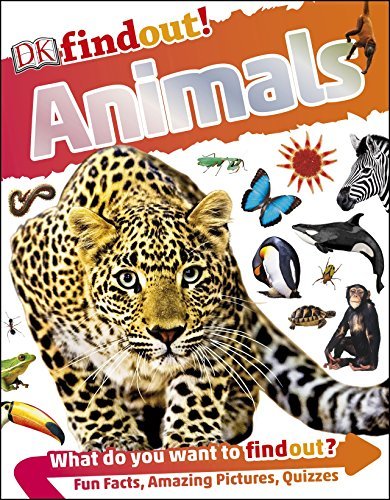 DKfindout! Animals book cover