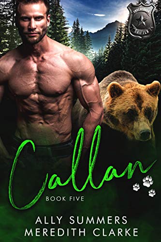 Callan book cover