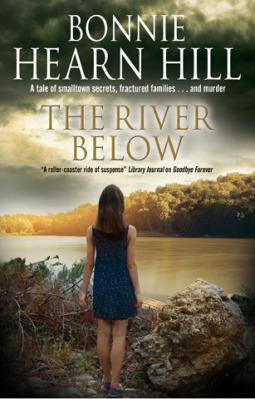 River Below, The book cover