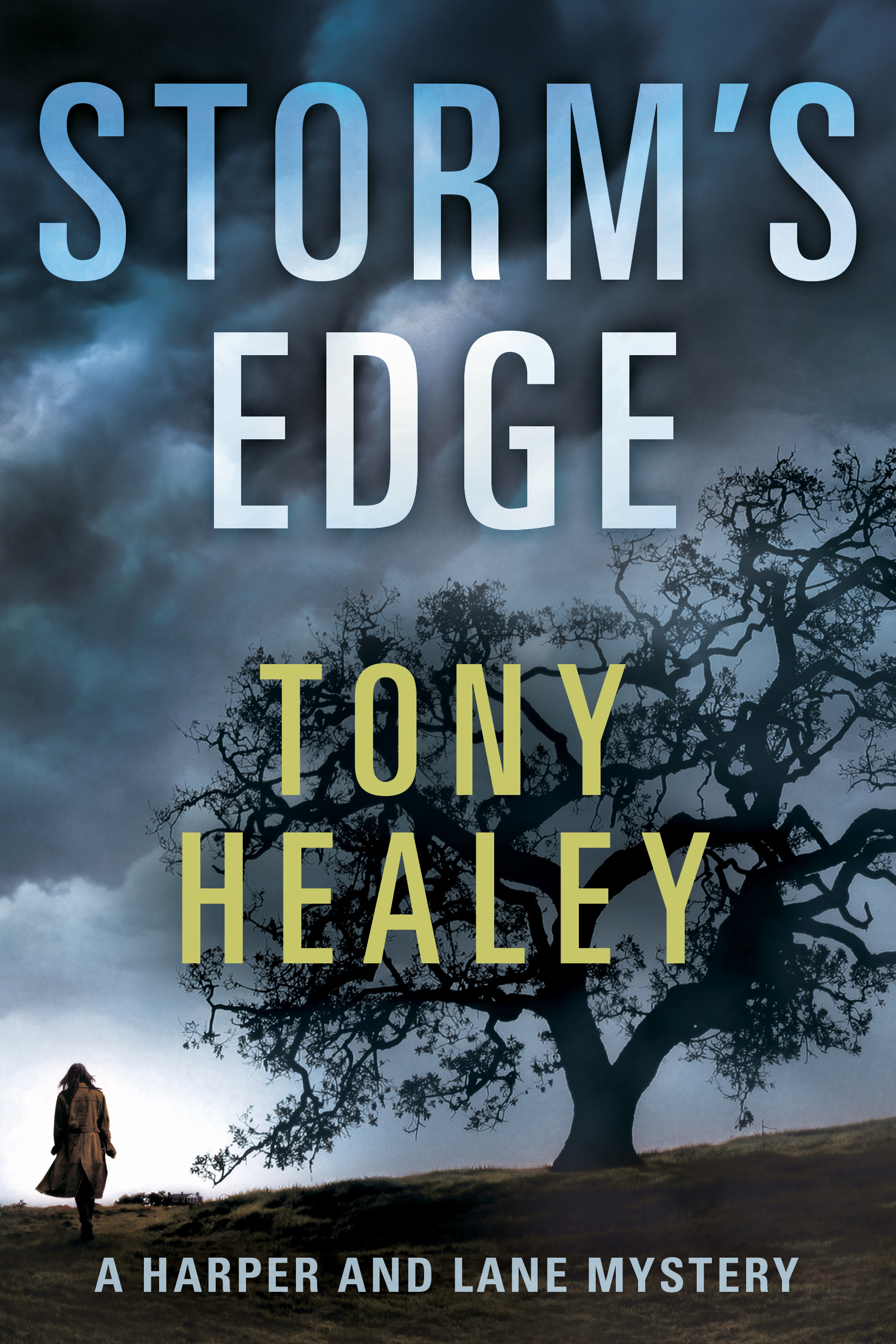 Storm's Edge book cover