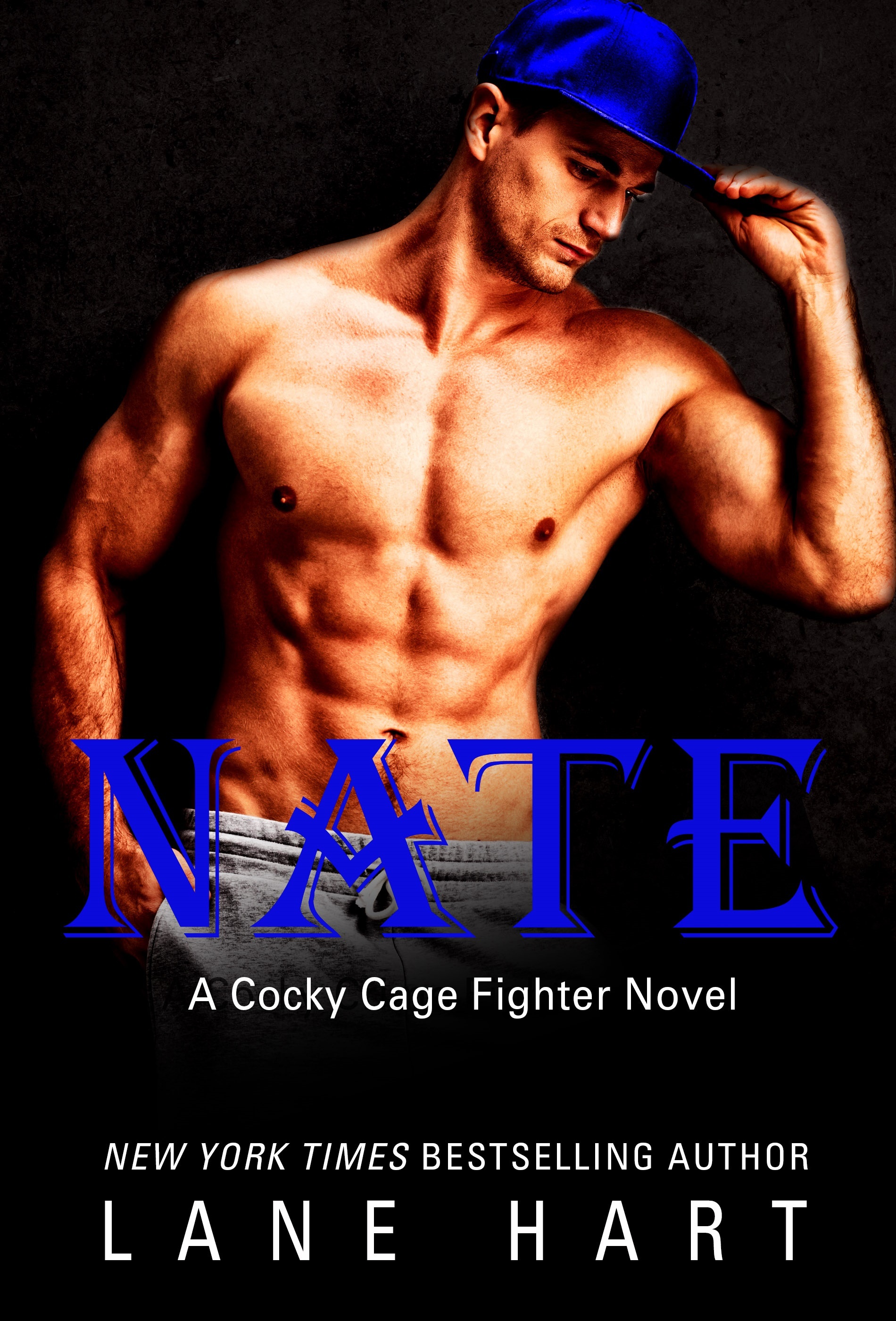 Nate book cover
