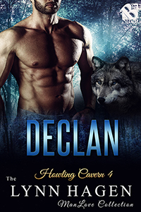 Declan book cover