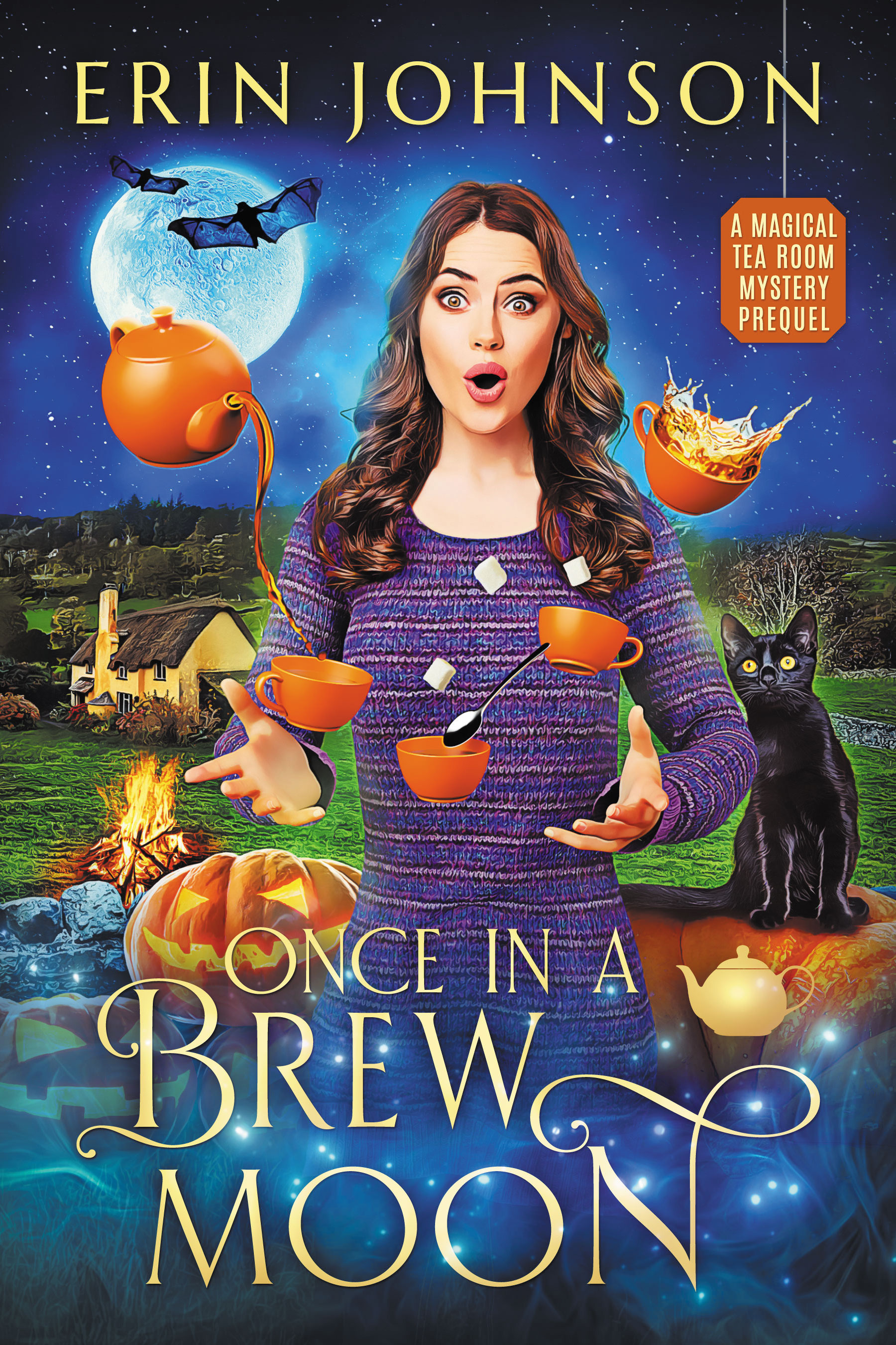 Once in a Brew Moon book cover