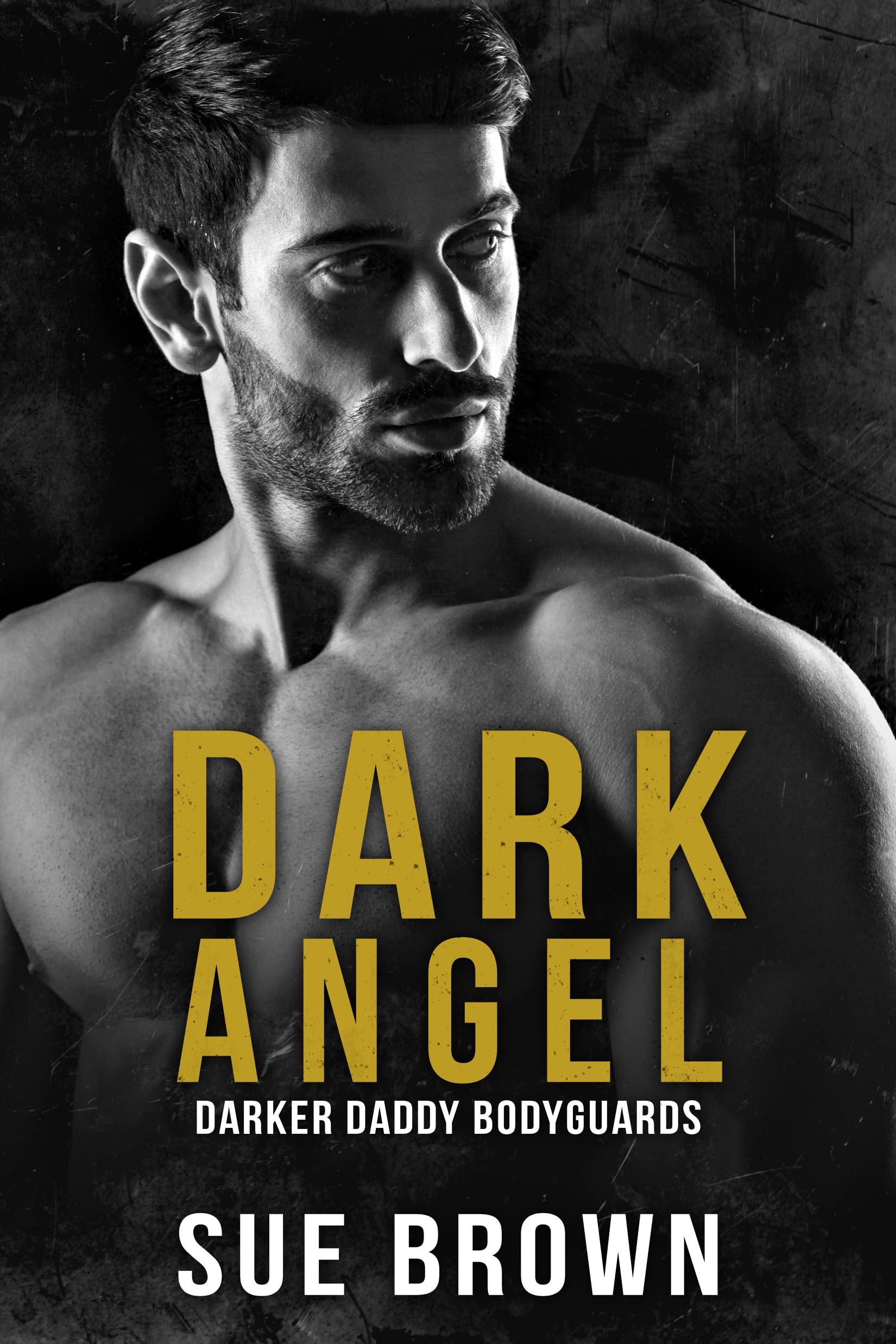 Dark Angel book cover