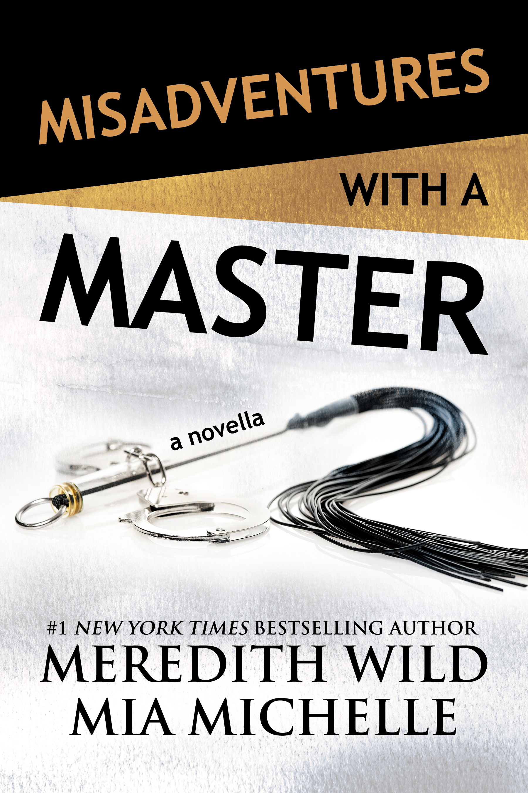 Misadventures with a Master book cover