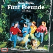 Fünf Freunde im Zeltlager book cover