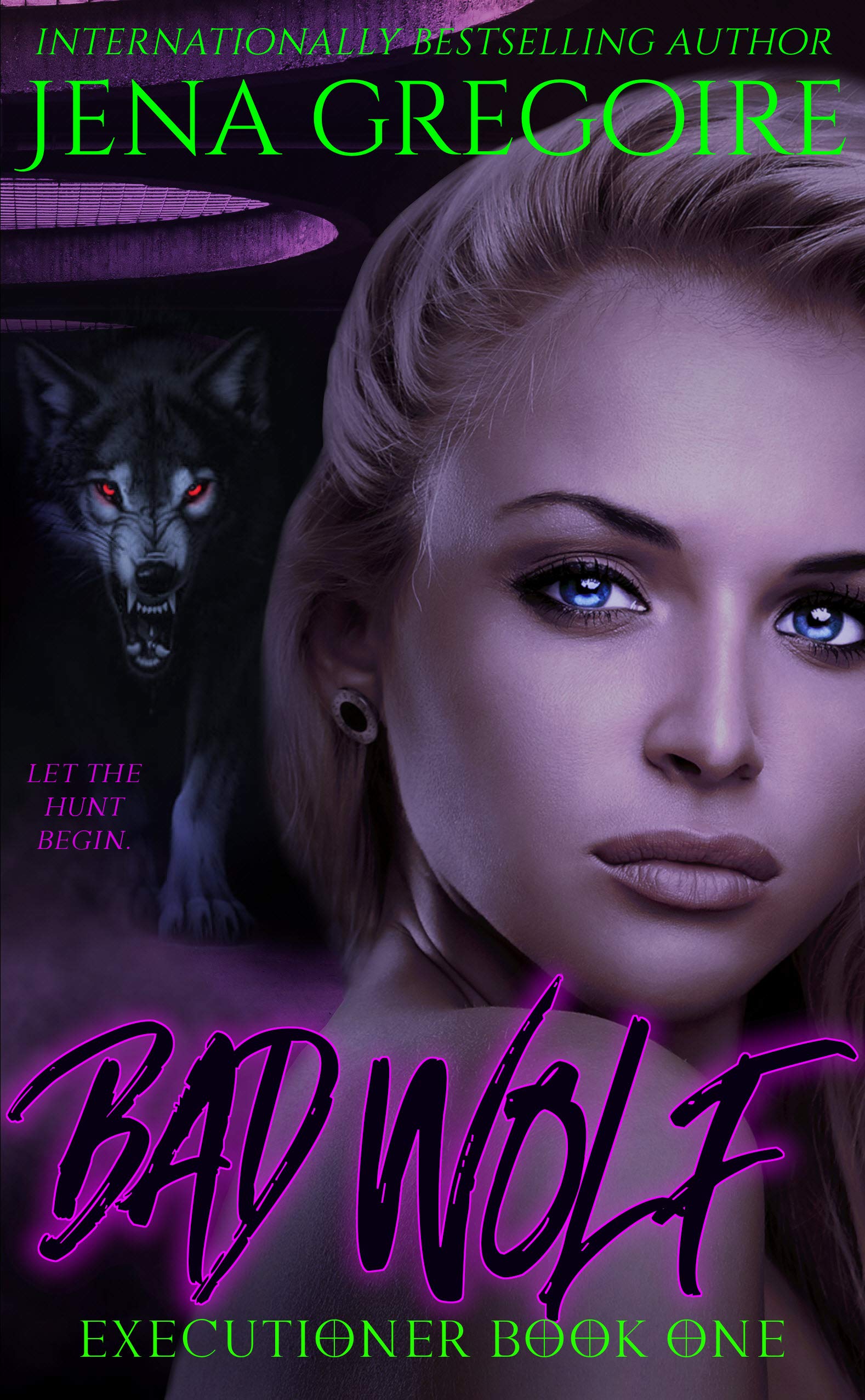Executioner Series book cover 1