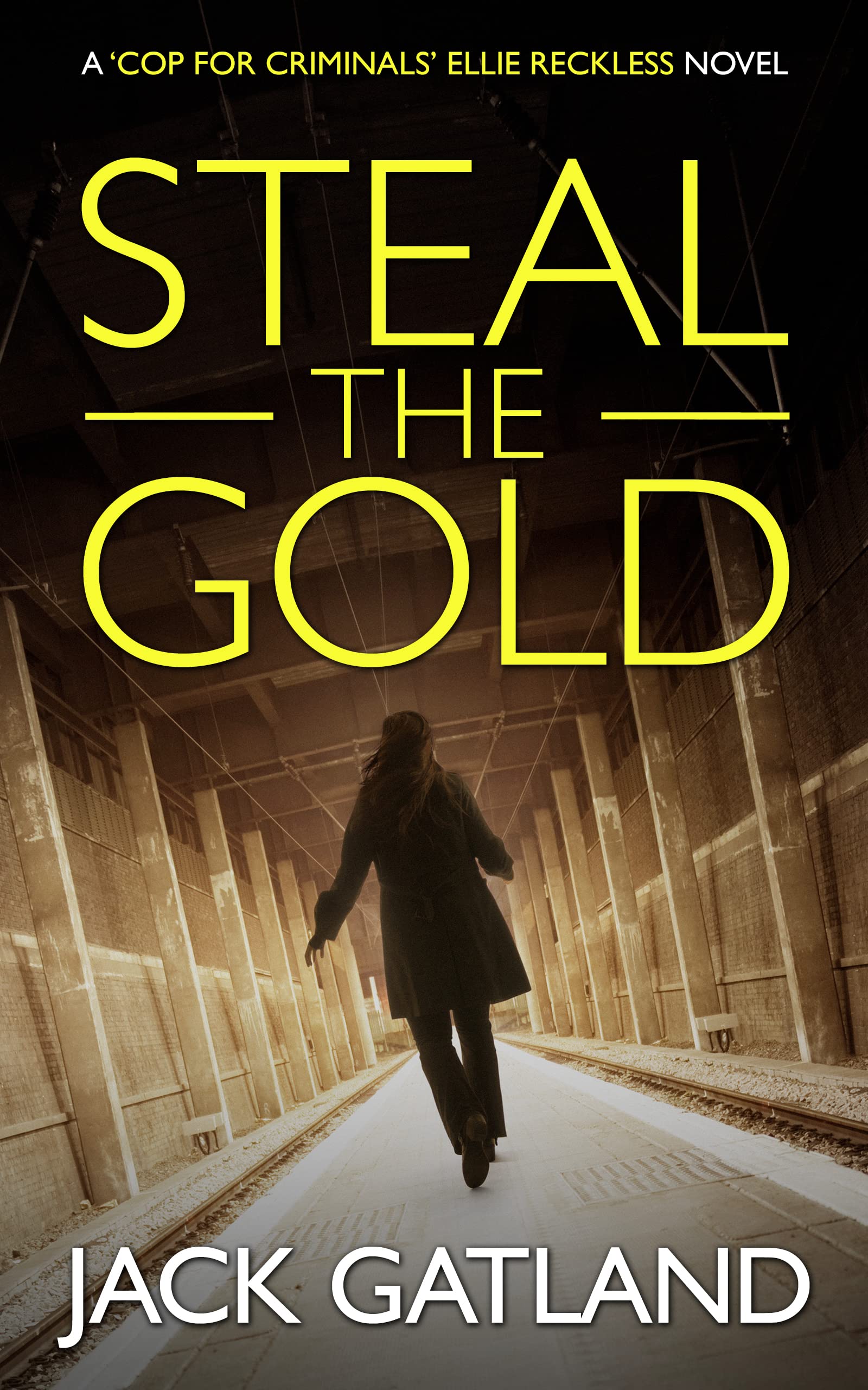 Steal The Gold book cover
