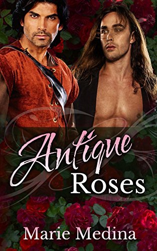 Arundel book cover 3