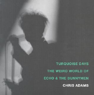 Turquoise Days book cover
