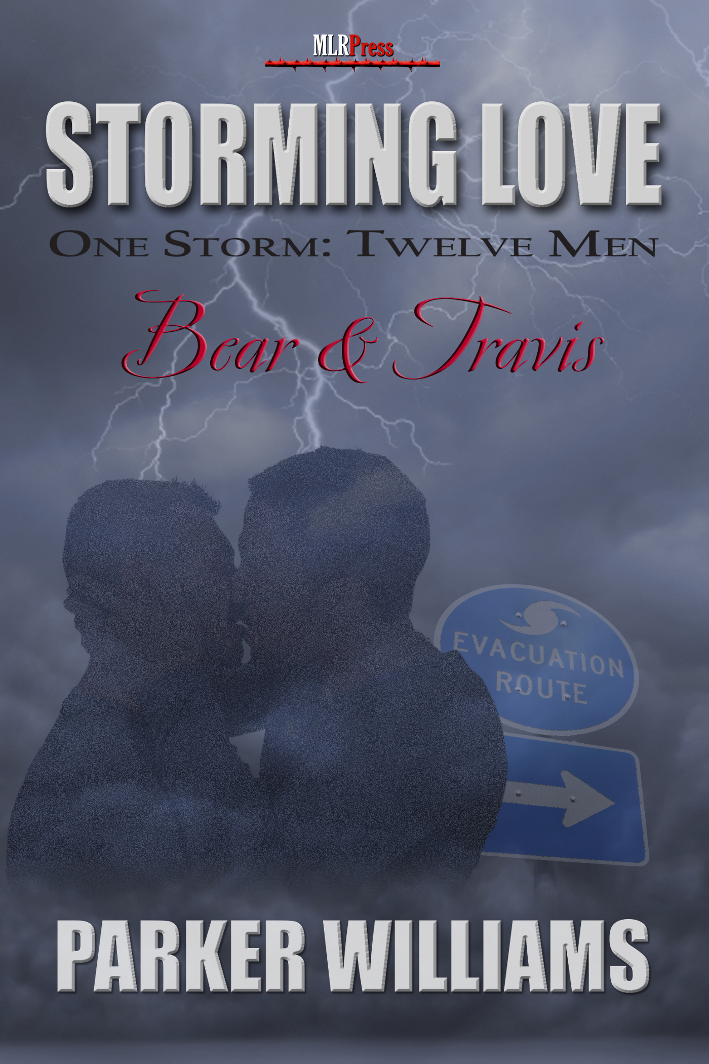 Storming Love: One Storm, Twelve Men book cover 3