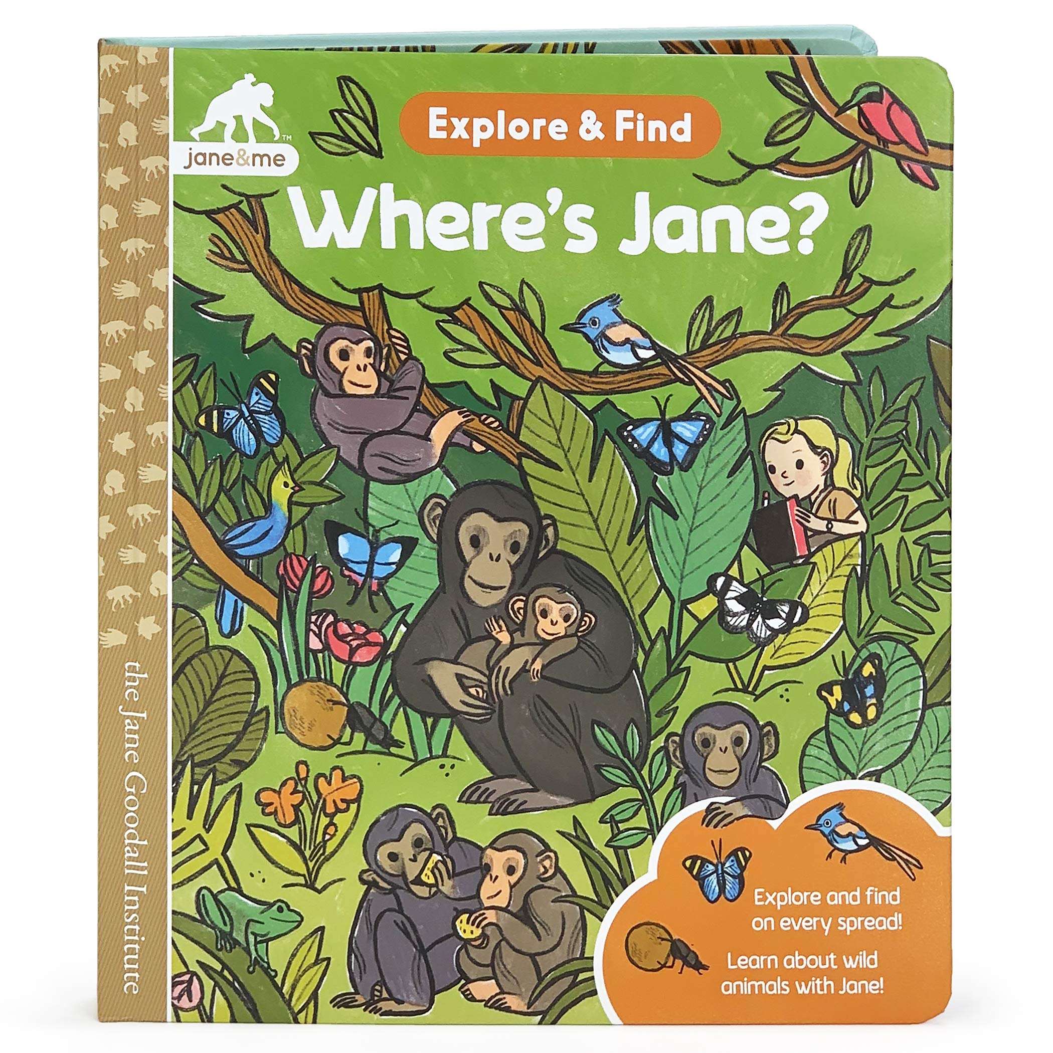 Where's Jane Look, Explore, & Find book cover