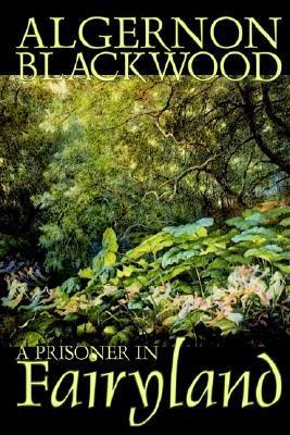 A Prisoner in Fairyland book cover