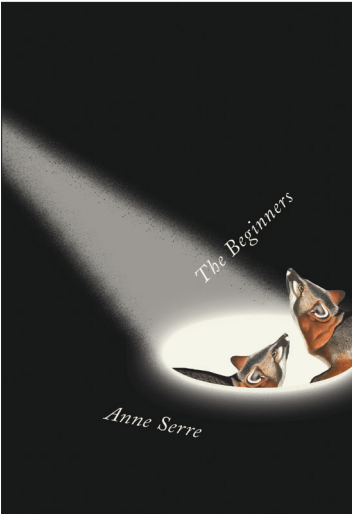 The Beginners book cover