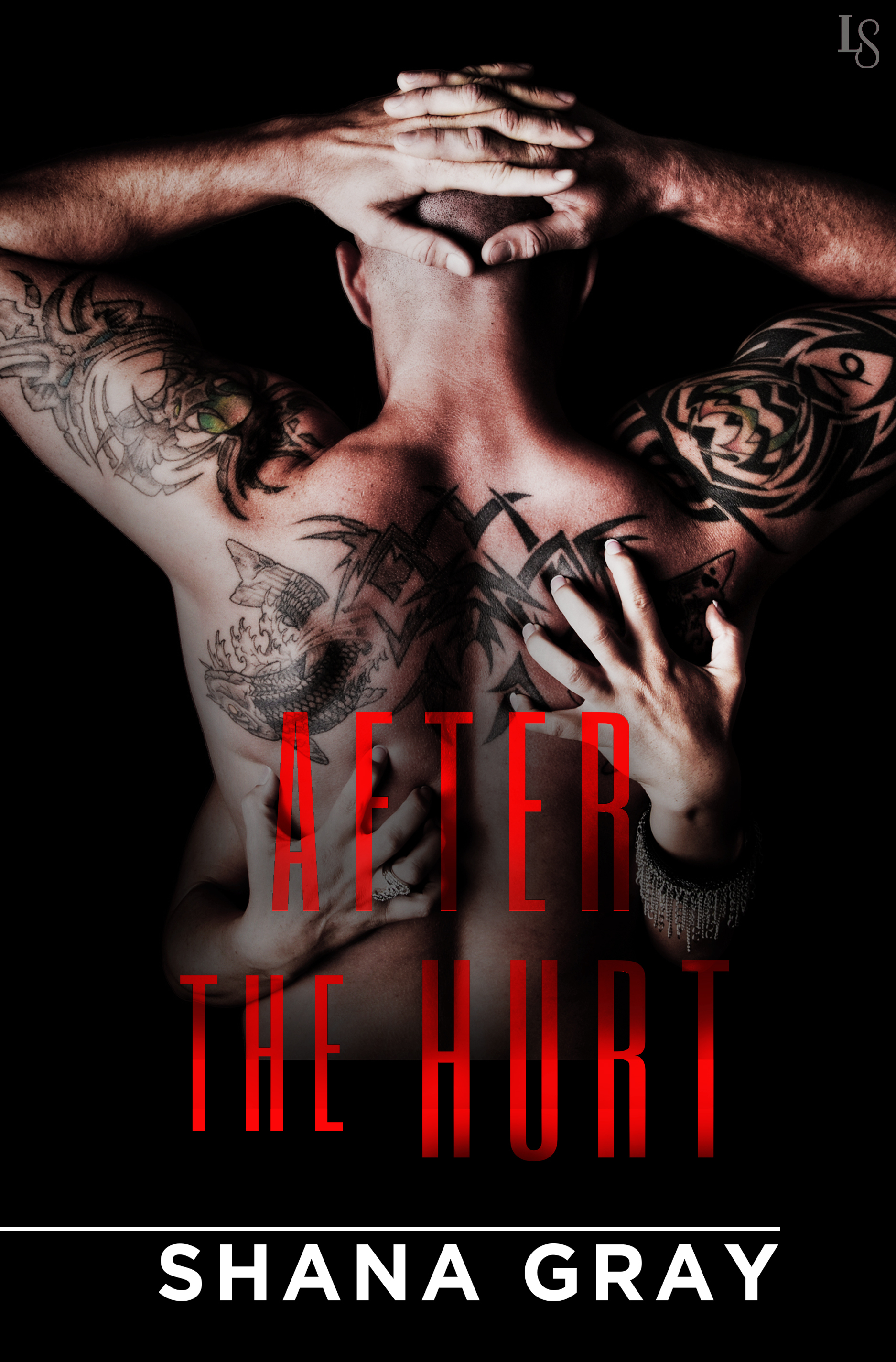 After the Hurt book cover
